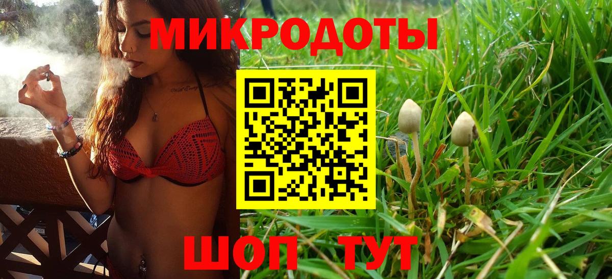 Псилоцибиновые грибы Psilocybine cubensis  Псилоцибиновые грибы MAGIC MUSHROOMS  Вход с VPN  Магадан 