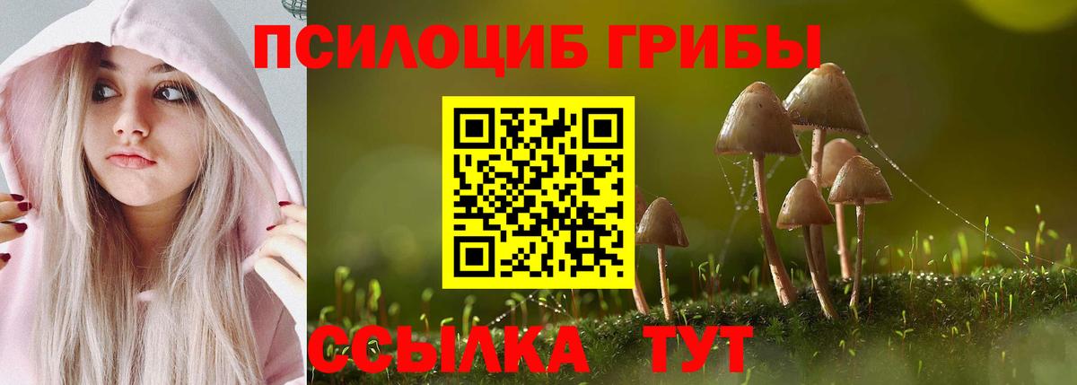 Галлюциногенные грибы мухоморы Магадан